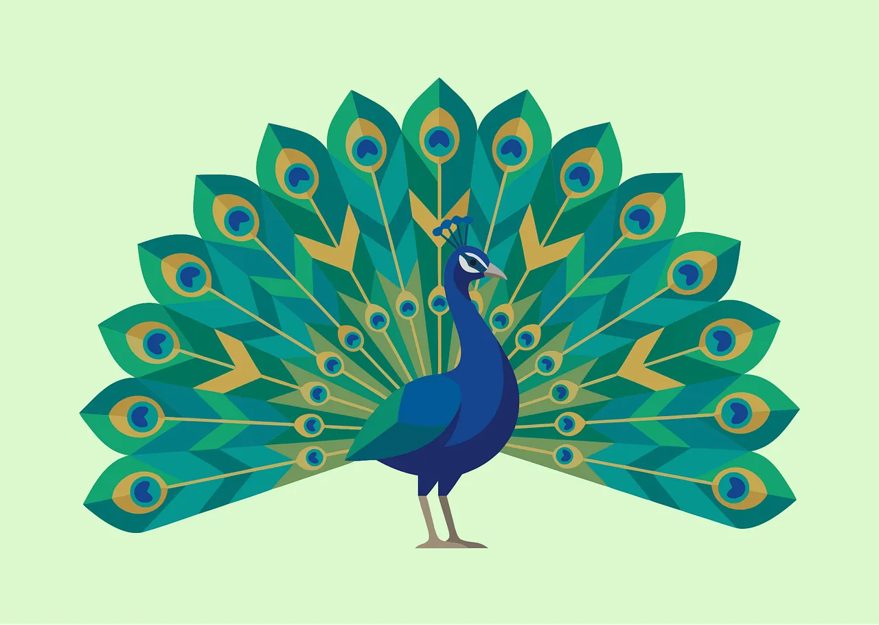 Peacock