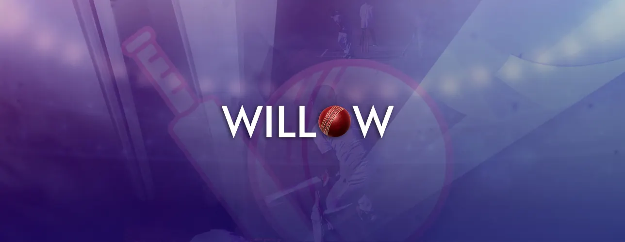 Willow TV